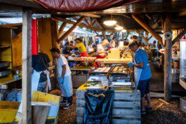 rock am wind festival